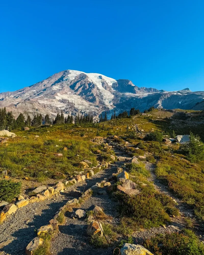 Mount Rainier view 4